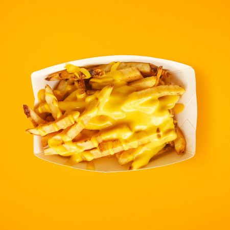 CHEESY FRIES
